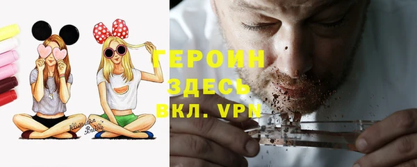 прущие грибы Бронницы