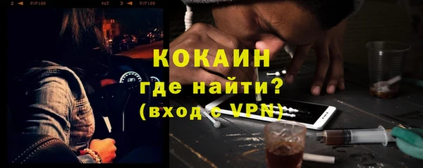 мдпв Бородино