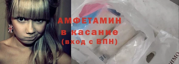 мдпв Бородино