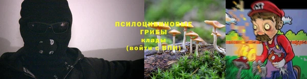 эйфоретик Бугульма