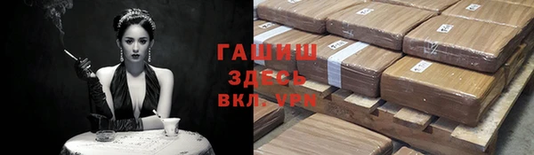 прущие грибы Бронницы