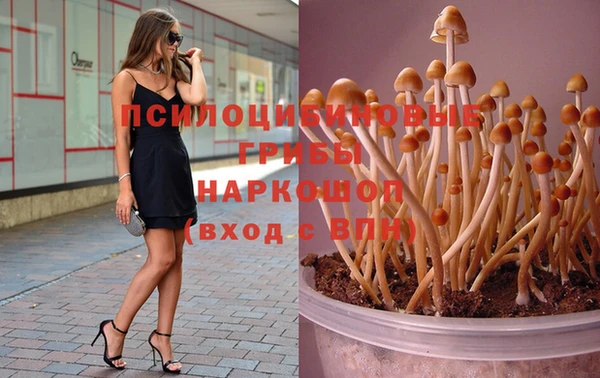прущие грибы Бронницы