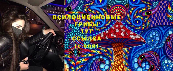 прущие грибы Бронницы