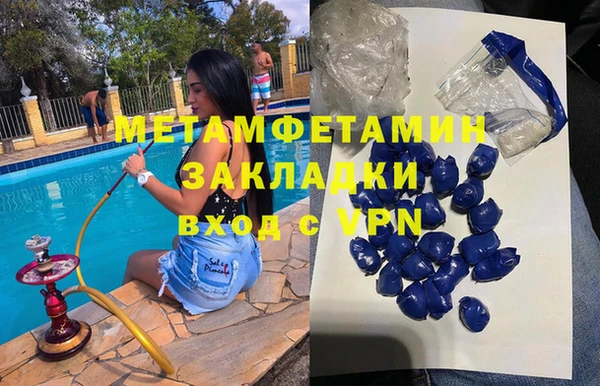 прущие грибы Бронницы
