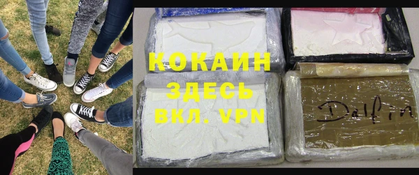 мдпв Бородино