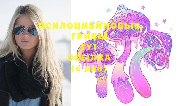 мдпв Бородино