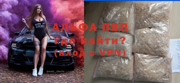 мдпв Бородино