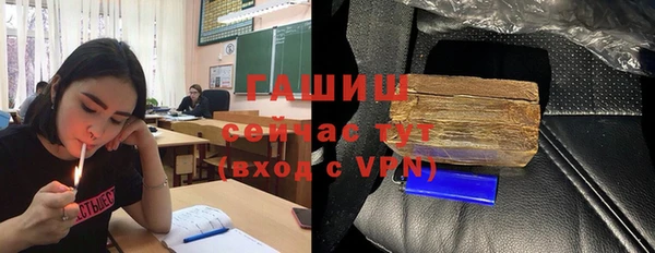 мдпв Бородино