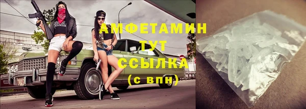 мдпв Бородино