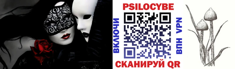 закладка  Касимов  Галлюциногенные грибы Cubensis 